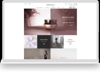 专业网站建设与设计，雅茂道助您打造卓越线上品牌